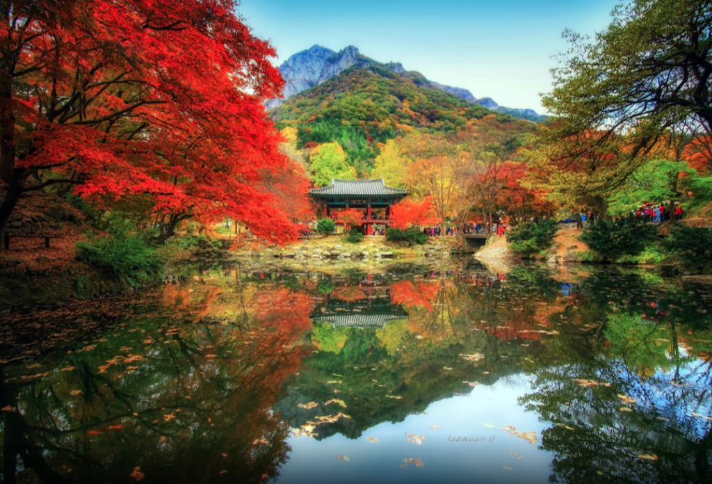 Отражение фото в Корее.
