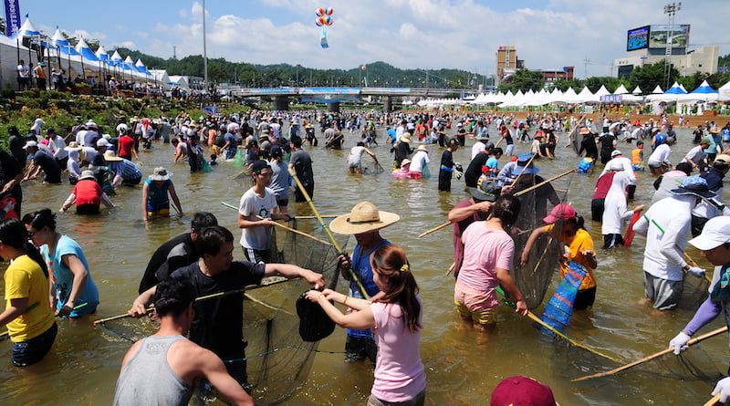 Фестиваль рыбы в Корее